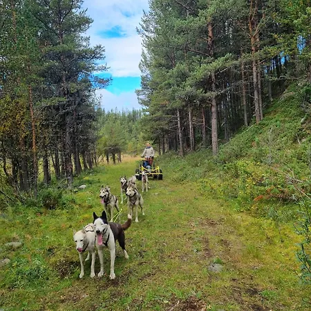 Jotunheimen Husky 3* Randsverk