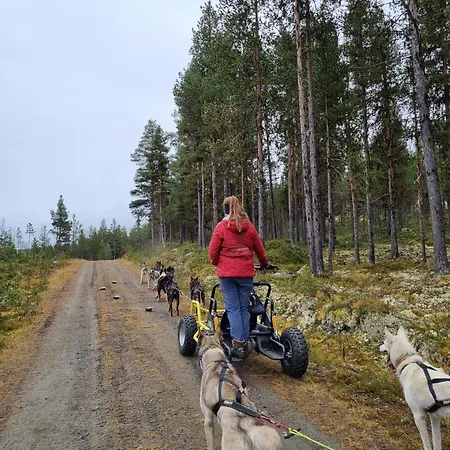 Apartahotel Jotunheimen Husky Randsverk