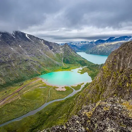 Jotunheimen Husky *