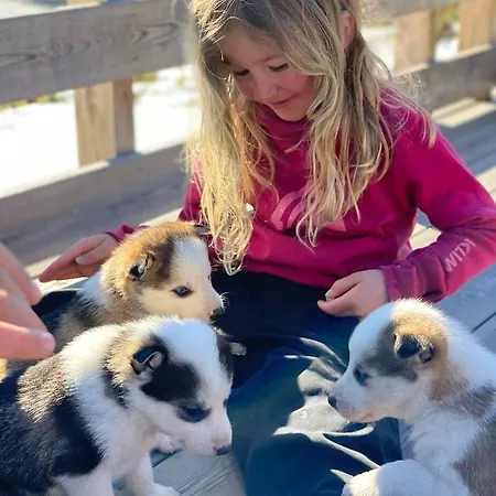 Leilighetshoteller Jotunheimen Husky Randsverk