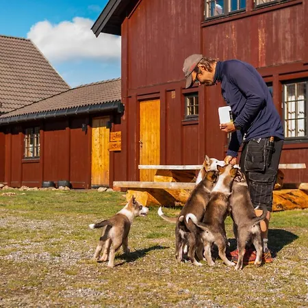Jotunheimen Husky Randsverk