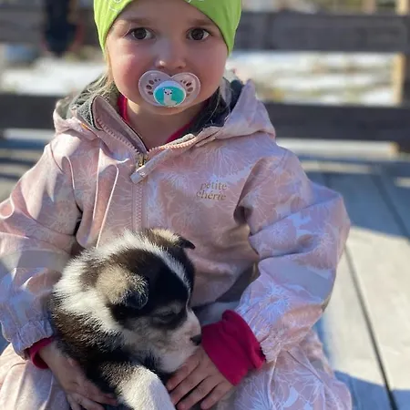 Jotunheimen Husky Aparthotel 3*