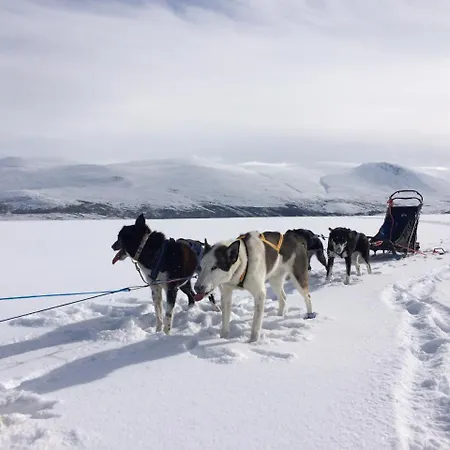 Jotunheimen Husky Apartmanhotel