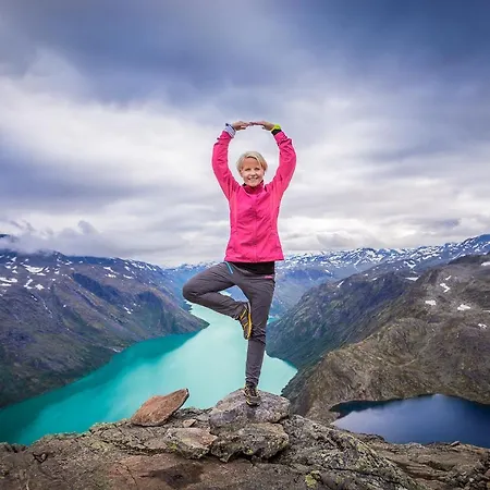 Jotunheimen Husky Aparthotel Randsverk
