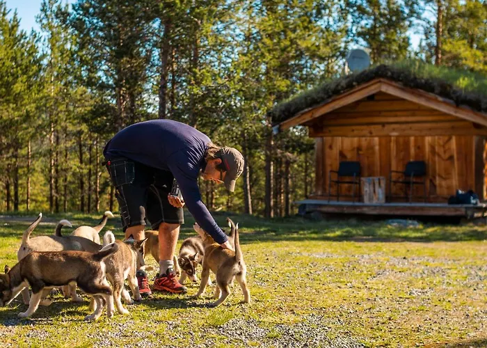 Aparthotel Jotunheimen Husky 3*